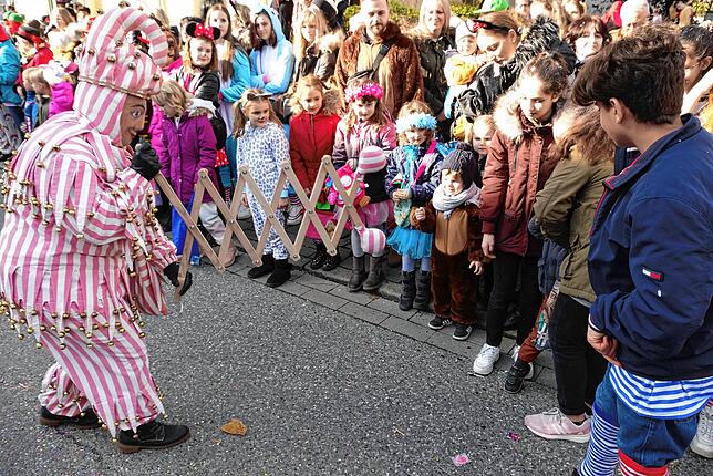 Bild 29: Alle Bilder zum Narrenbaumzug durch die Singener Innenstadt