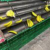 Bananen sind in der Schweiz offenbar gerade gefragt. In diesem Kreuzlinger Coop-Supermarkt waren sie Anfang der Woche nahezu ...
