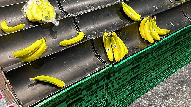 Bananen sind in der Schweiz offenbar gerade gefragt. In diesem Kreuzlinger Coop-Supermarkt waren sie Anfang der Woche nahezu ...