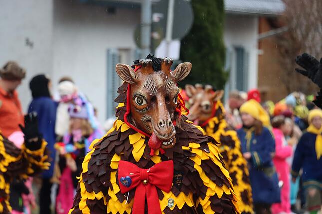 Bild 7: Großer Festumzug in Möggingen: Tausende besuchen das Seenarrentreffen trotz Regen!