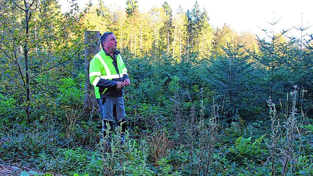 Der Immendinger Forstbetriebsleiter Martin Schrenk arbeitet beim Waldumbau mit neuen Methoden und zusätzlichen Baumarten. Bild: Jutta ...
