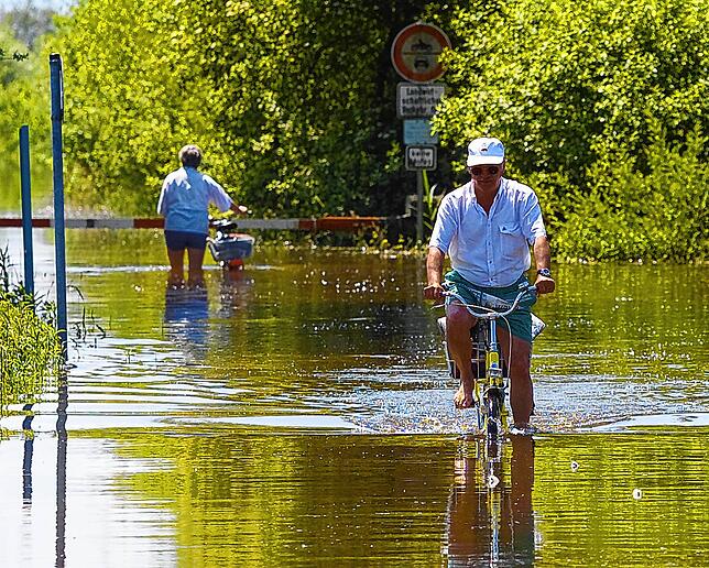 Überschwemmt war auch das Eriskircher Ried. Hier konnten Fahrradfahrer auch schon mal einem schwimmenden Schwan in die Quere kommen.