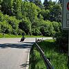 Der Randenaufstieg ist eine Genussstrecke für Motorradfahrer. Weitläufige und enge Kurven wechseln sich ab, da macht es besonders viel ...