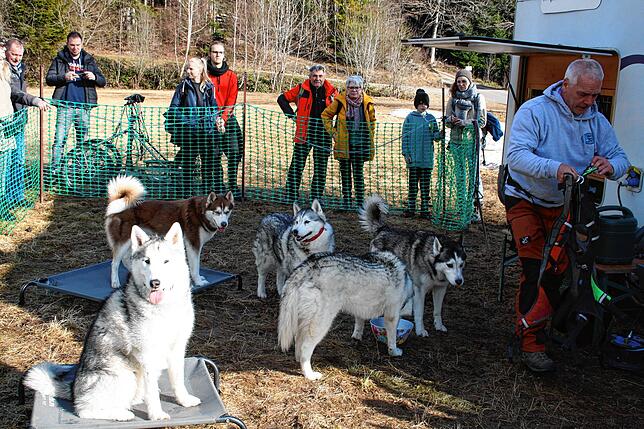 Bild 12: Bilder vom Husky-Camp und Huskyfiebermarkt in Todtmoos
