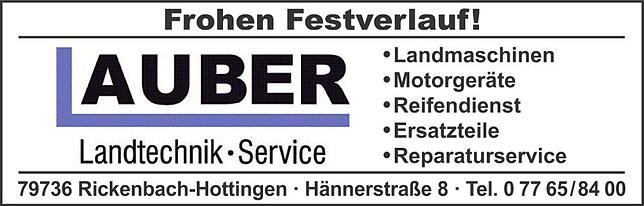 Bild 8: 11.Familien-Drachenfest in Rickenbach-Hütten: Es ist alles so schön bunt hier in Rickenbach