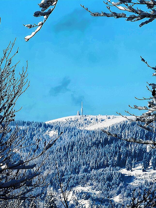 Die schöne Aussicht auf den Feldberg hat leider einen traurigen Grund &ndash; die Fichten davor sind umgeknickt.