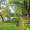 Auch wenn es im April zu wenig regnet, sprießt die Natur mit aller Kraft in Bad Säckingen. Hier der Blick von der Rheinallee auf die ...