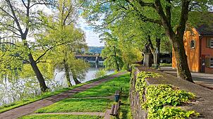 Auch wenn es im April zu wenig regnet, sprießt die Natur mit aller Kraft in Bad Säckingen. Hier der Blick von der Rheinallee auf die ...