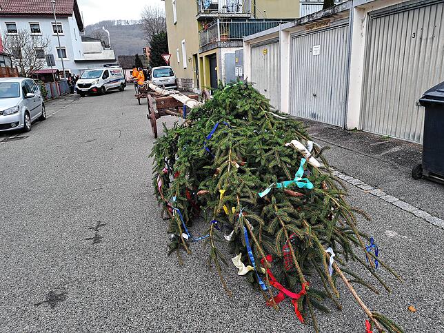 Bild 18: So schön ist der Wäldertag in Bad Säckingen (2)
