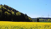 Im „Malaienwald“ Denkingen sollen drei Windrädern gebaut werden. Auf der anderen Straßenseite sind die Anlagen auf der Gemarkung ...