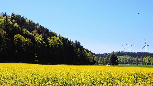 Im „Malaienwald“ Denkingen sollen drei Windrädern gebaut werden. Auf der anderen Straßenseite sind die Anlagen auf der Gemarkung ...