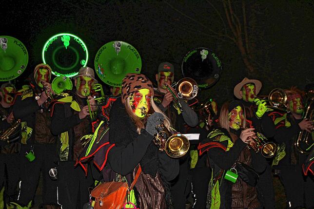 Bild 24: Bilder vom Nachtumzug beim Kleggau-Narrentreffen am Samstag