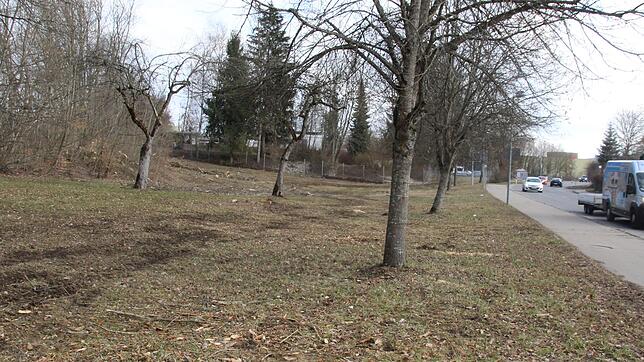 Auf diesem Grundstück an der Heiligenberger Straße, unterhalb der Alno-Bungalows, soll die Sozialunterkunft der Stadt gebaut werden. ...