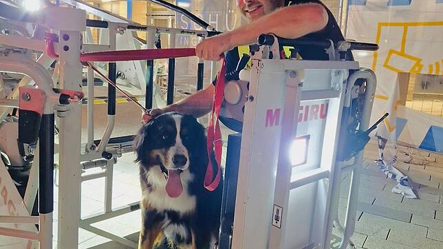 Ein Feuerwehrmann holt einen Hund mittels der Drehleiter aus 20 Metern Höhe vom Dach eines Einkaufszentrums.