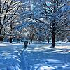 Winterstimmung am Freitagmittag im Hörle-Park am Konstanzer Bodenseeufer.