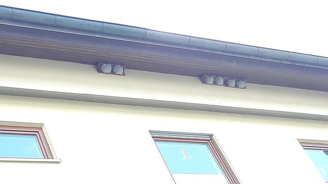 Kunstnester an einem vom Nabu als schwalbenfreundlich ausgezeichneten Haus in Bad Säckingen.