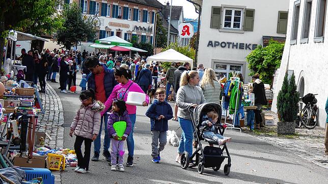 Das Dogerner Herbstfest 2024 zieht wieder viele Besucher aus der Gemeinde und von auswärts an.