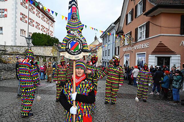 Bild 13: Die schönsten Bilder vom Narrenumzug in Tiengen &ndash; Teil 2