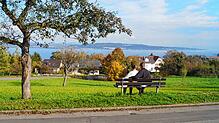 Ein Pärchen genießt auf der Bank den Blick über die Wiese am Marienweg und über den Überlinger See. Im Januar wird voraussichtlich mit ...