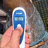 Die Metallfigur heizt sich am Tag der Testmessungen auf 46,3 Grad auf.