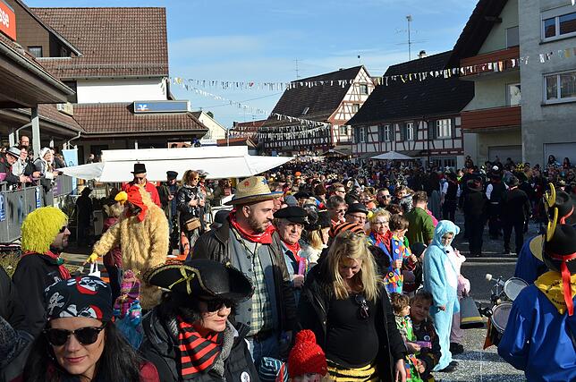 Bild 25: Eigeltinger Narrentage: Der Sonntagsumzug in Bildern (2)