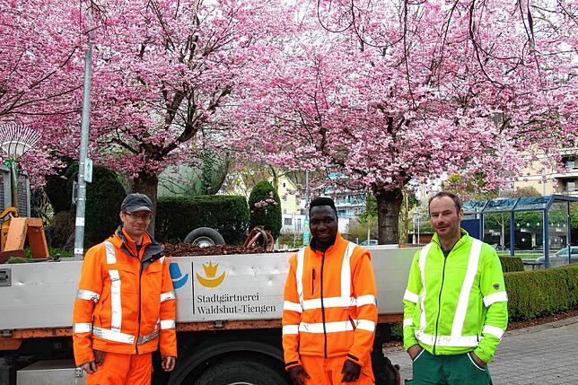 Von links: Michael Maier, Sanneh Adama und Mario Müller von der Stadtgärtnerei Waldshut-Tiengen.