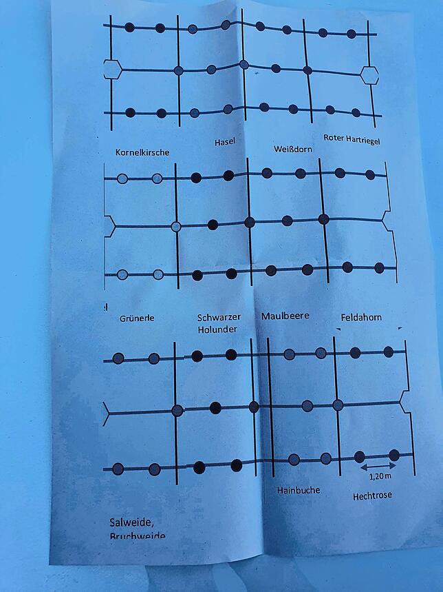 Alles ist im Detail durchgeplant: fünf Meter breit und 1,2 Kilometer lang. Jeder Strauch ist in einem Pflanzplan wie in diesem Bild an ...