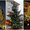 Weihnachtsbäume ziehen jedes Jahr in der Adventszeit die Blicke auf sich. In der Region gibt es jedes Jahr ganz unterschiedliche Exemplare.