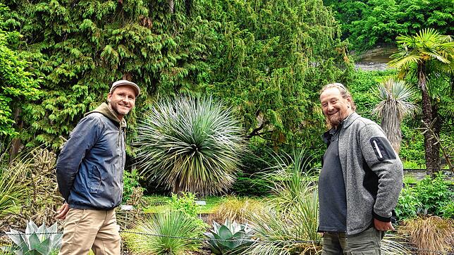 Markus Wolf und Andreas Höfler (von links) freuen sich, wie gut sich das neue Beet mit den winterharten Kakteen und Sukkulenten bereits ...