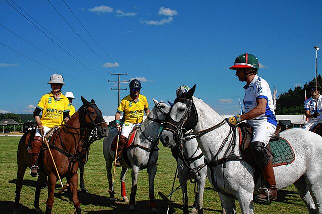 Bild 2: So schön war das Poloturnier in Sylvenstal