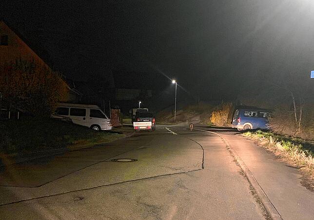 Über den Kirchberg läuft der vermutliche Wolf. Es gehört zum normalen Verhalten von Wölfen, dass sie ab und an nachts auch Dörfer ...