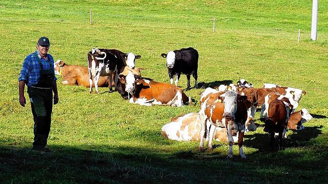 Oswald Tröndle, Landwirt in Oberweschnegg &ndash; hier auf einer seiner Weiden &ndash; und Vorsitzender des BLHV-Kreisverbands Waldshut, ...
