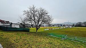 Auf dieser Wiese direkt neben dem Rasenplatz des VfR Horheim-Schwerzen wird der Kunstrasenplatz angelegt. Bild: Sandra Holzwarth