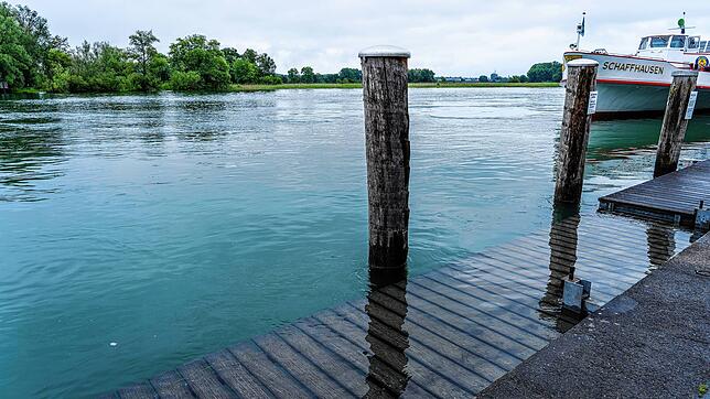 Der Pegel des Bodensees und Seerhein ist innerhalb von wenigen Tagen ziemlich angestiegen. Hier ein Bild vom Seerhein bei Gottlieben ...