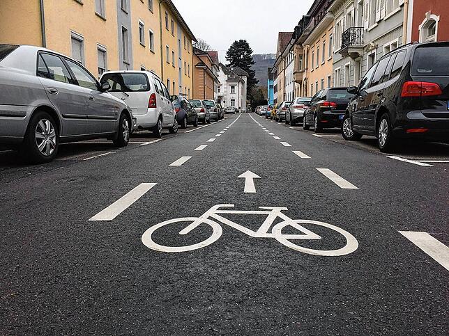 Für den Mittel-Radweg in der Werderstraße bekam die Stadt Bad Säckingen im Jahr 2015 viel Spott.