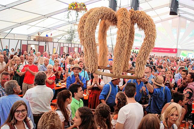 Mit dem Aufziehen der riesigen Erntekrone im Festzelt beginnt das viertägige Heimatfest der Sichelhenke in Bohlingen.