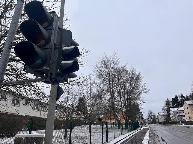 Ein besonders nerviges Exemplar: Die Fußgängerampel an der Dattenbergstraße.