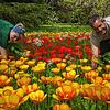 Gärtnerin Lena Leisinger und Gärtnermeister Stefan Reisch in der Tulpenwiese beim Schwedenturm auf der Insel Mainau.