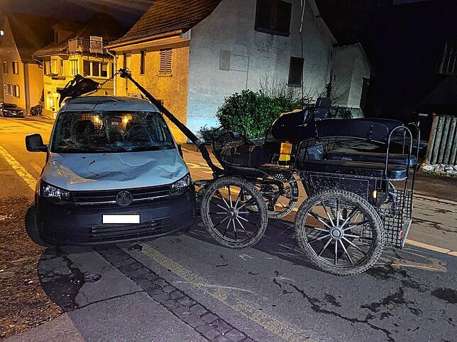 Dieser Unfall in Thayngen war kurios: Als die Polizei eintraf, war ein Auto mit einer Kutsche zusammengestoßen.