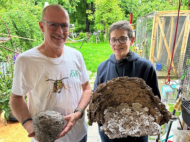 Ralf und Ellen Claaßen mit zwei Nestern – das linke stammt von einer Wespe, das rechts ist das Bauwerk der Asiatischen Hornisse.
