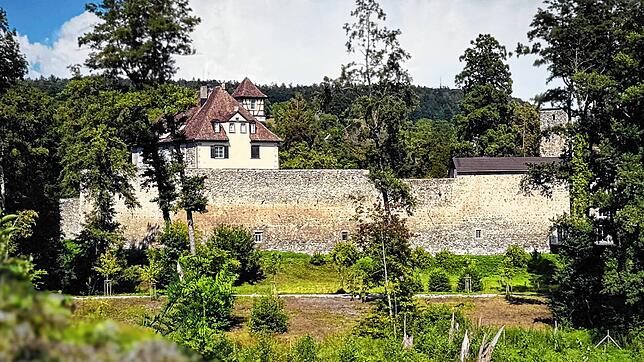 Blick auf das Mögginger Wasserschloss. Dort sollen im Sommer 2026 die Schlossfestspiele stattfinden.