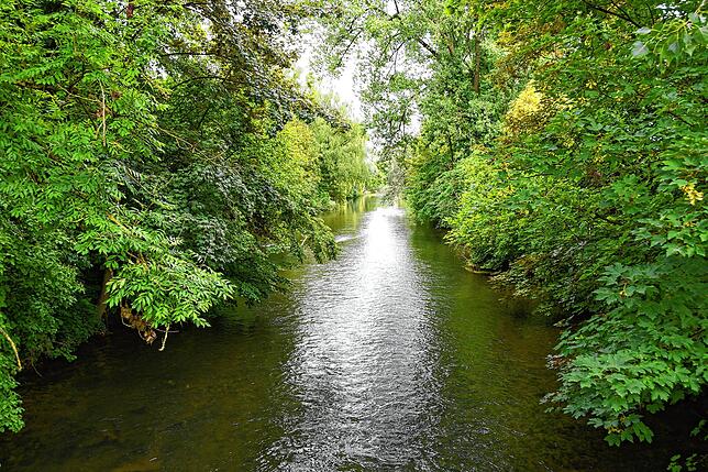Auch das ist Singen: die Aach im Bereich des Stadtparks.