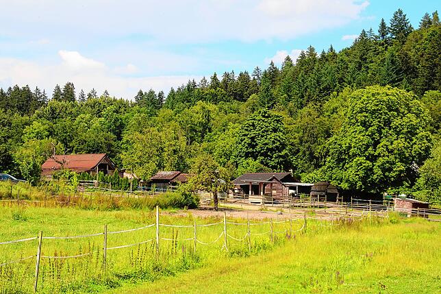 Ein Idyll? Der Pferdehof, gegen dessen Besitzer sich so schwere Vorwürfe richten, liegt im Hinterland des Bodensees.