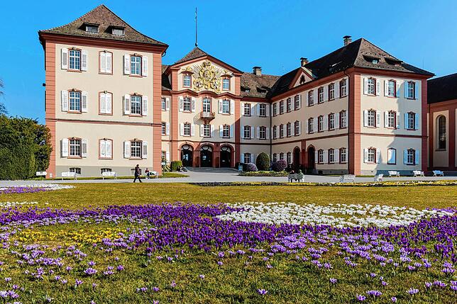 Krokusse blühen vor einem Gebäude auf der Insel Mainau.
