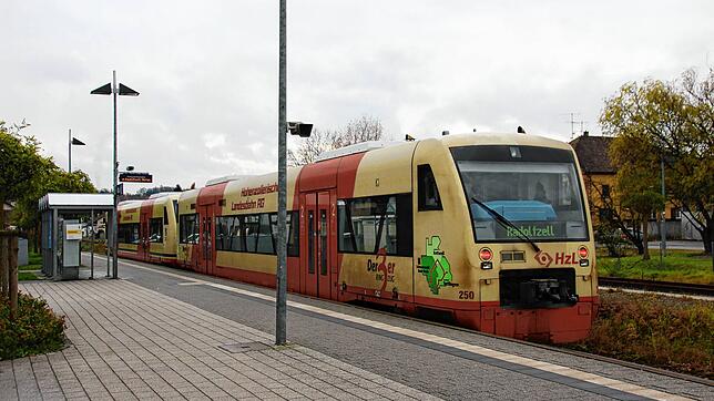 Ein Seehäslezug im Bahnhof von Stockach (Archivbild).