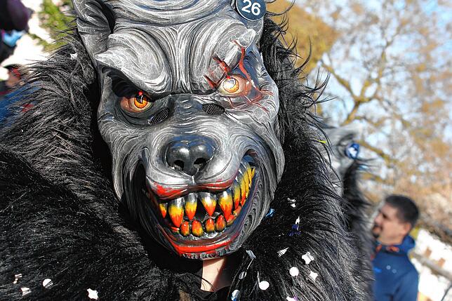 Bild 14: Fasnacht-Umzug 2025 in Wutöschingen: 41 Gruppen bringen viel Freude