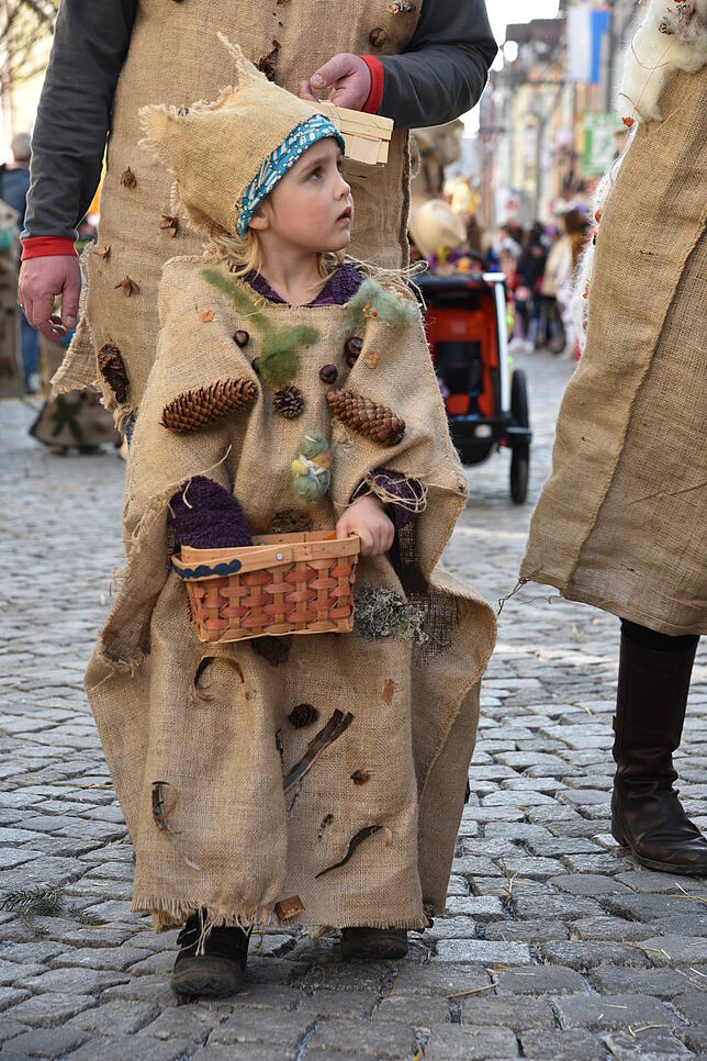 Bild 25: Bilder zum Kinderumzug in Villingen Teil 2