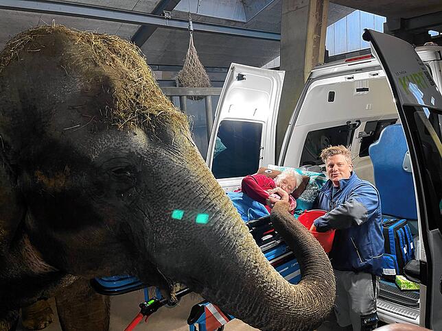 Katharina Abrach mit Elefantin Ceylon und Sven Fässler, Leiter Tiere und Unterhalt bei Knies Kinderzoo in Rapperswil.