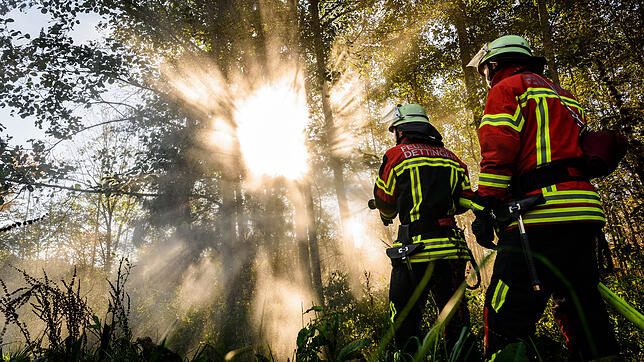 Bei der derzeitigen Waldbrandgefahr Stufe 4 kann es in den nächsten Tagen zu vermehrten Einsätzen der Feuerwehr, wie hier bei einer ...