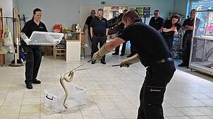 Selbst ist der Feuerwehrmann: Bei der Probe konnten sie üben, wie ein Schlange fachgerecht in einer durchsichtigen Transportbox ...